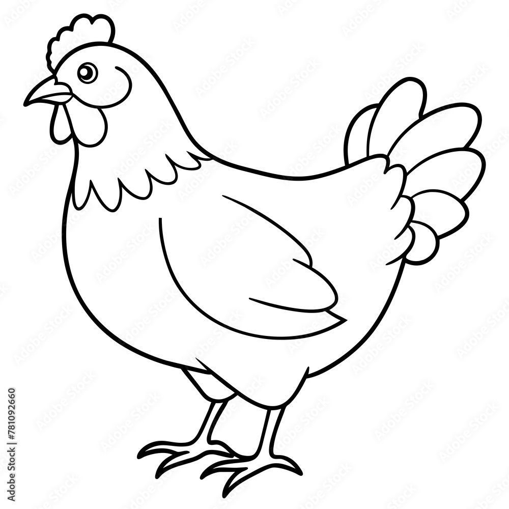 chicken vector illustration with line art. chicken vector illustration with line art.