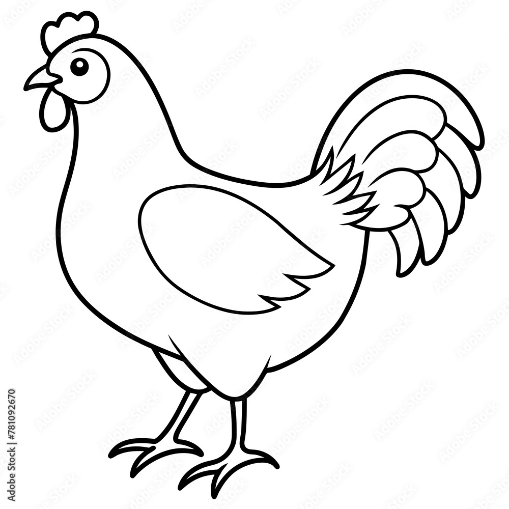 chicken vector illustration with line art. chicken vector illustration with line art.