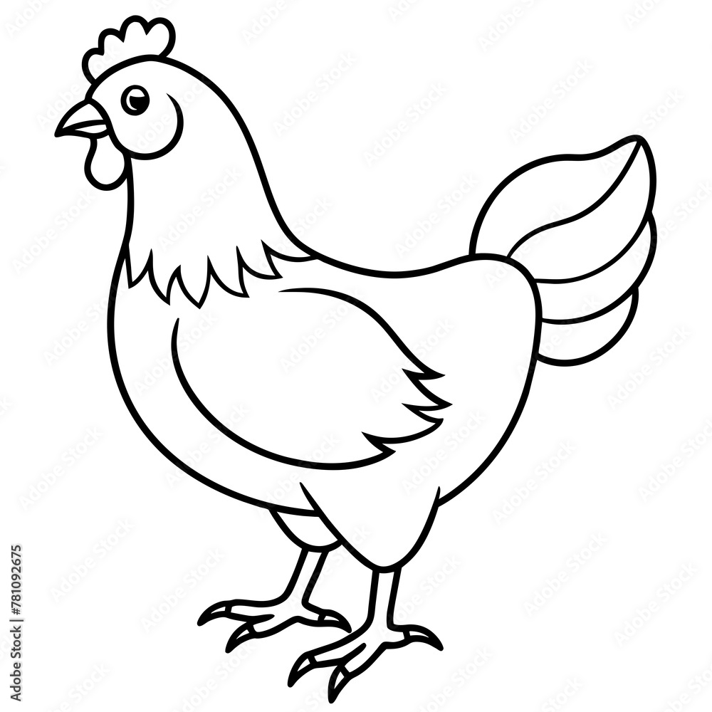 chicken vector illustration with line art. chicken vector illustration with line art.