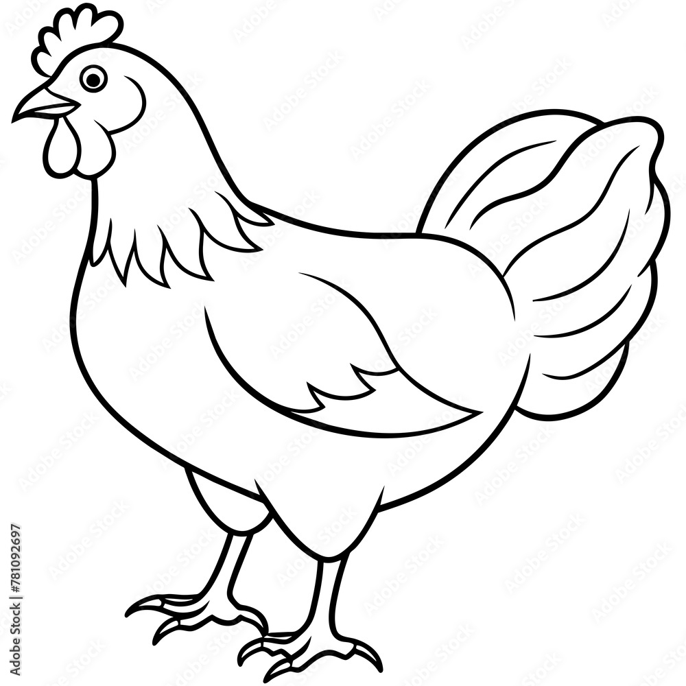chicken vector illustration with line art. chicken vector illustration with line art.