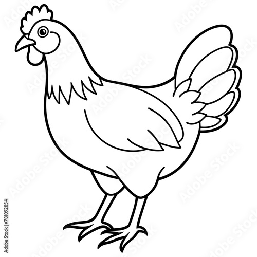    chicken vector illustration with line art.  © Abul Kalam