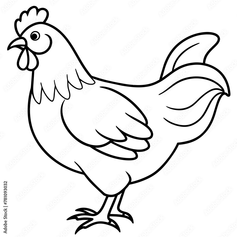    chicken vector illustration with line art.
