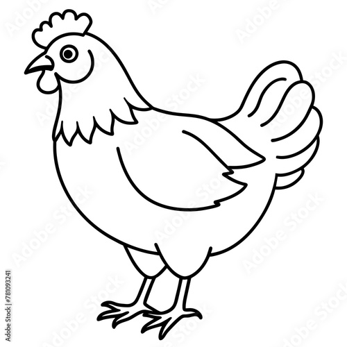  chicken vector illustration with line art. 