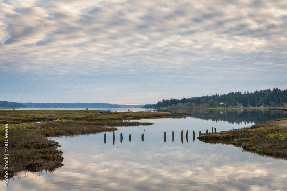 Theler Wetlands Nature preserve in Belfair, Washington State