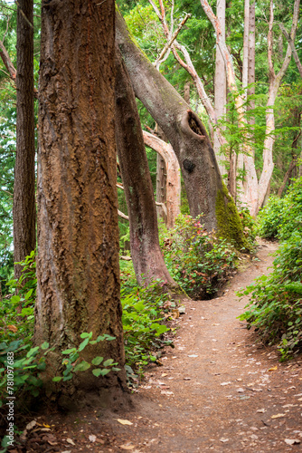 Принти на полотні Point Defiance Park in Tacoma, Washington