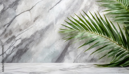 marble texture background with blurry green coconut palm leaves on wall white or grey nature granite wall surface for ceramic counter or interior decoration luxury design backdrop product background