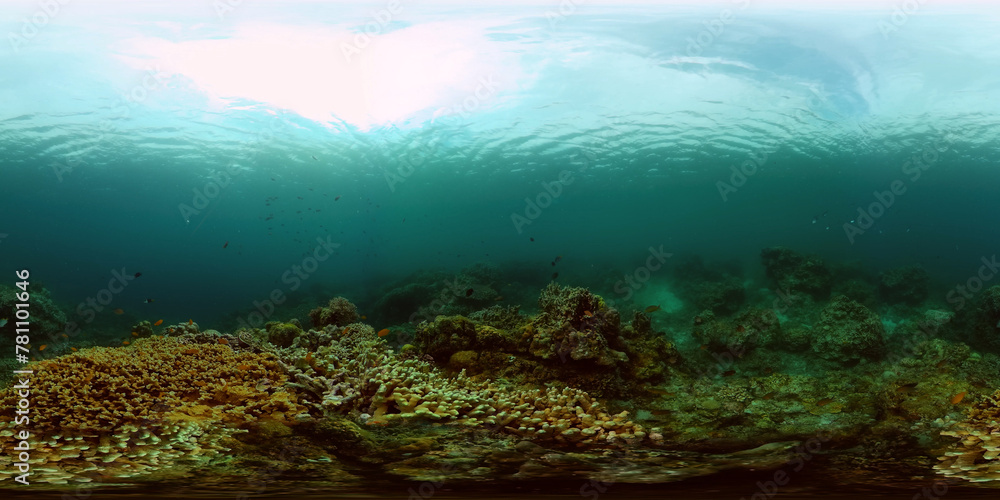 Tropical coral reef and fishes underwater. Hard and soft corals. Underwater video. Philippines. Virtual Reality 360. Tropical coral reef and fishes underwater. Hard and soft corals. Underwater video. Philippines. Virtual Reality 360.