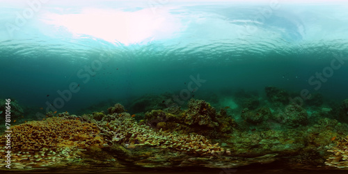 Tropical coral reef and fishes underwater. Hard and soft corals. Underwater video. Philippines. Virtual Reality 360.