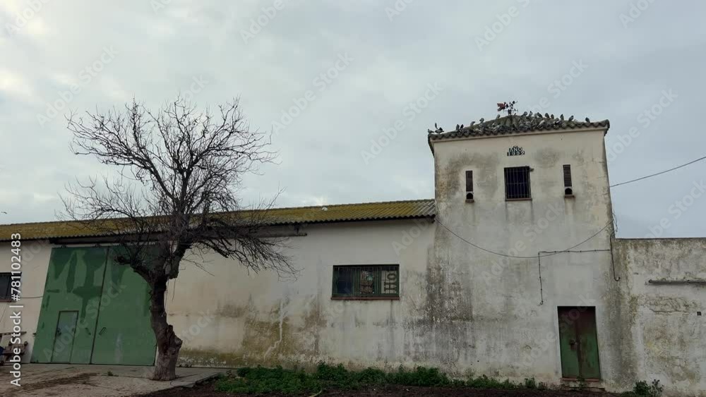Perched atop the aged and weather-beaten structure, birds congregate against a cloudy sky, invoking a sense of nostalgia and rustic charm reminiscent of bygone eras and vintage allure. Perched atop the aged and weather-beaten structure, birds congregate against a cloudy sky, invoking a sense of nostalgia and rustic charm reminiscent of bygone eras and vintage allure.