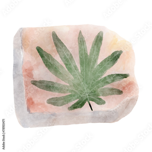 Fossil of plant in rock . Watercolor paint design . Vector . © stockdevil