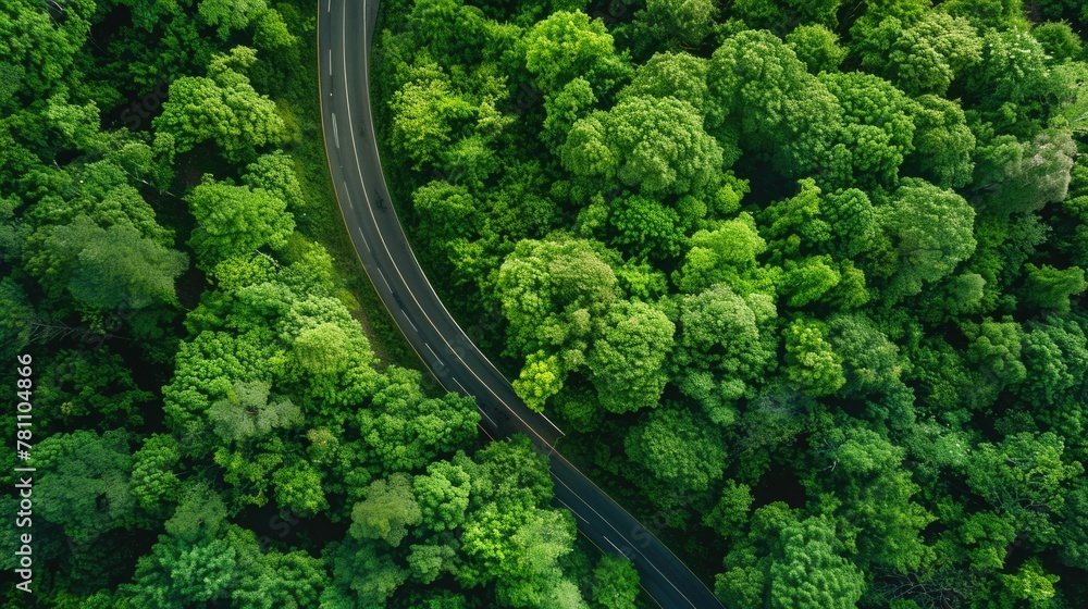Aerial view of a winding road through a lush forest. Travel and nature concept.