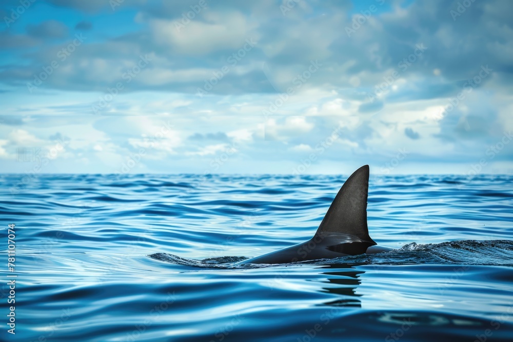 Naklejka premium Shark Fin Emerges from Blue Ocean Against Cloudy Sky. Wildlife Danger in the Sea