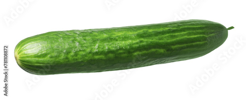 One long fresh cucumber isolated on white