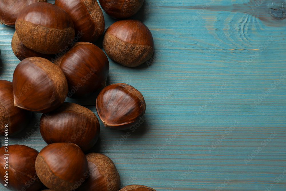Obraz premium Roasted edible sweet chestnuts on light blue wooden table, flat lay. Space for text