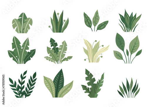 Vector set of tropical plants isolated from background. Nature clipart for stickers, cards. Collection of greenery bushes