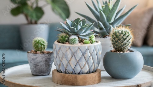 set of cactus in pots, wallpaper collection Set of different mixed cactus and succulents types of small mini plant in modern ceramic nordic vase pot as furniture cutouts isolated