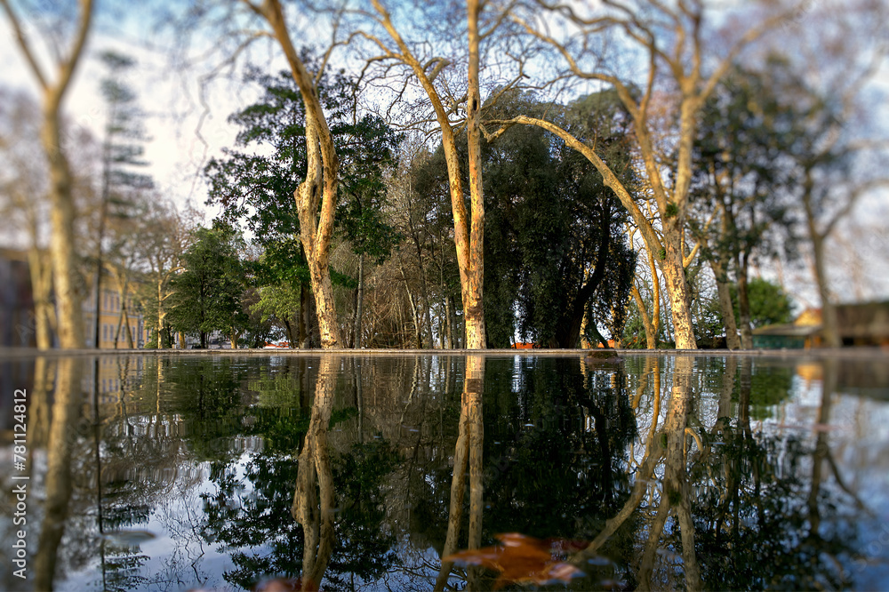 Fototapeta premium Reflections in a lake