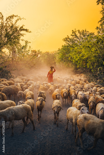 A local woman and a large sheep flock returning to the barn in the sunset, after a day of feeding in the mountains in Ninh Thuan Province, Vietnam.