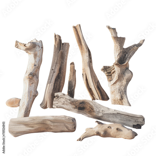 Driftwood pieces on Transparent Background
