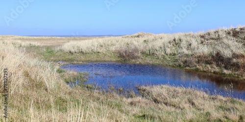 Marsh landscape with lake and dunes, Denmark
