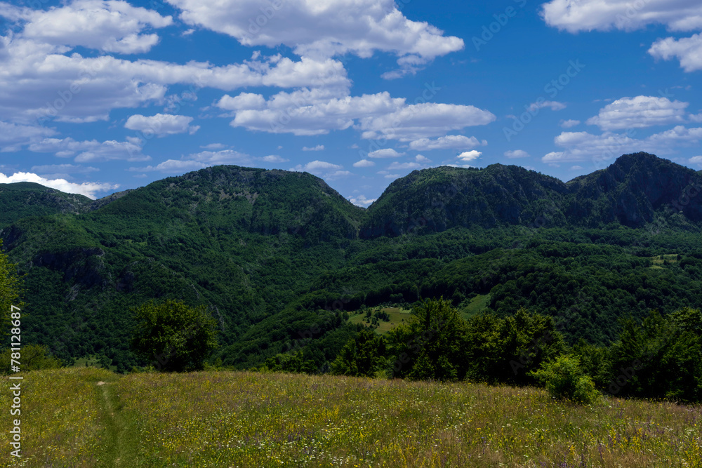 Summer landscape in the Domogled-Valea-Cernei National Park of Romania