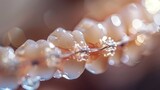 Close-up of dental braces on teeth with soft bokeh background