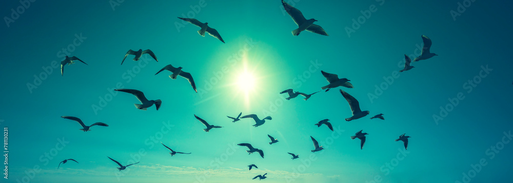Seagulls fly over the sea during sunset. Horizontal banner