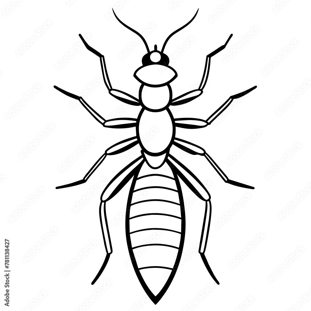 spider isolated spider isolated