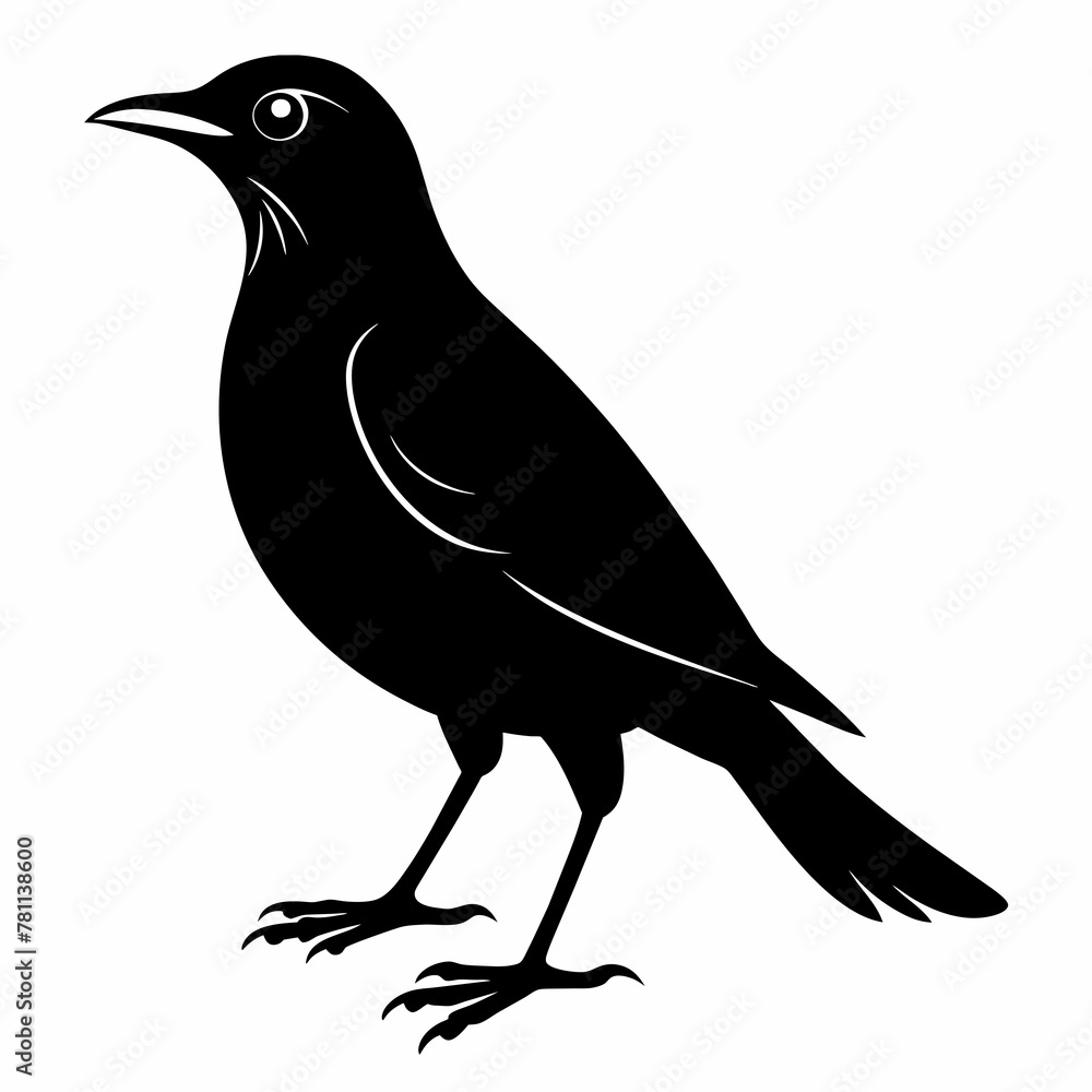 Obraz premium crow on a branch