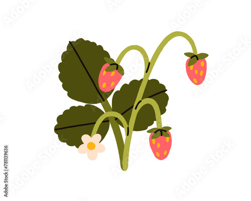 Forest strawberry plant. Fresh wild red berries on branch, stem with leaves, ...