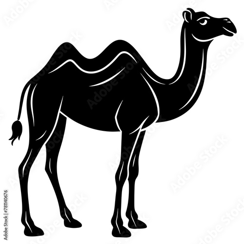 camel cartoon illustration