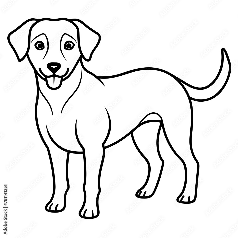 Fototapeta premium dog