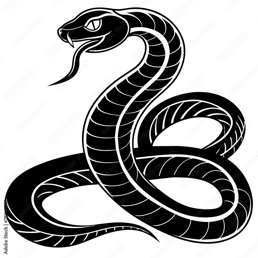 Fototapeta premium black and white snake