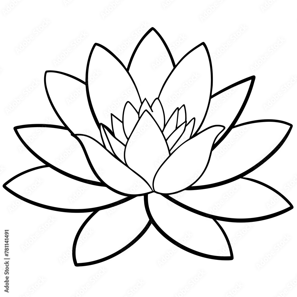 lotus flower illustration lotus flower illustration