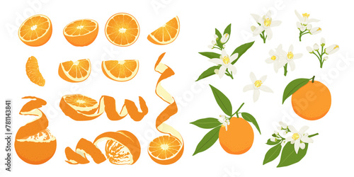 Set with orange flower, orange on a branch, a whole orange and half a fruit. Flat vector orange set.	 photo