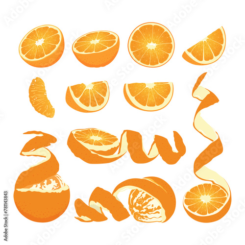 Collection of orange fruit slices. Flat vector orange fruit from different sides.	