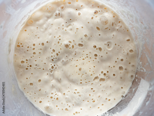 sourdough bread starter texture