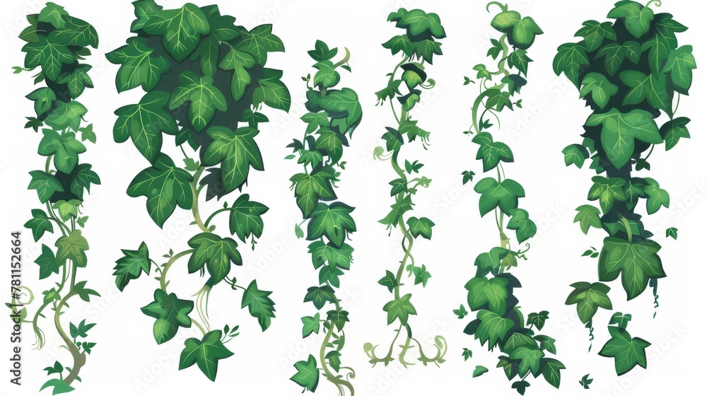 Corners of ivy, climbing vine with green leaves Corners of ivy, climbing vine with green leaves