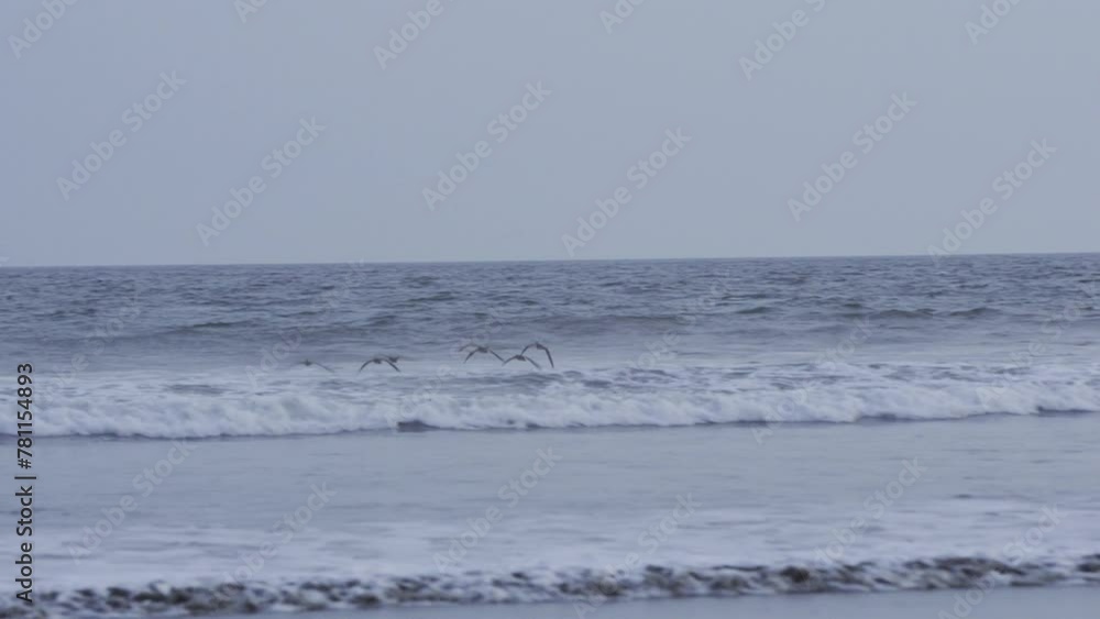Tracking shot of a group of whimbrels flying low over waves crashing on Canas Tracking shot of a group of whimbrels flying low over waves crashing on Canas