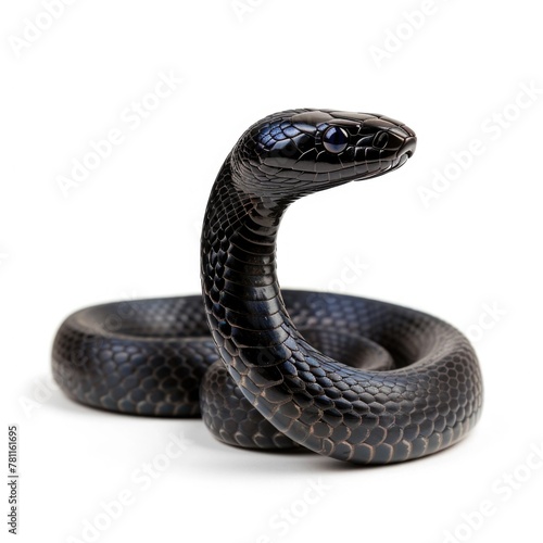 Black Mamba snake standing side view isolated on white background, photo realistic. © Pixel Pine