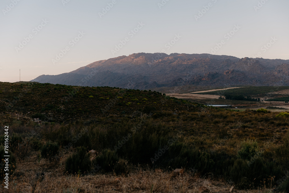 Fototapeta premium Scenic, moody landscape of a red wine grape vineyard at sunrise, background