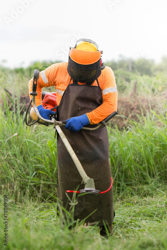 Protective Gear and Trimming Equipment in Use photo