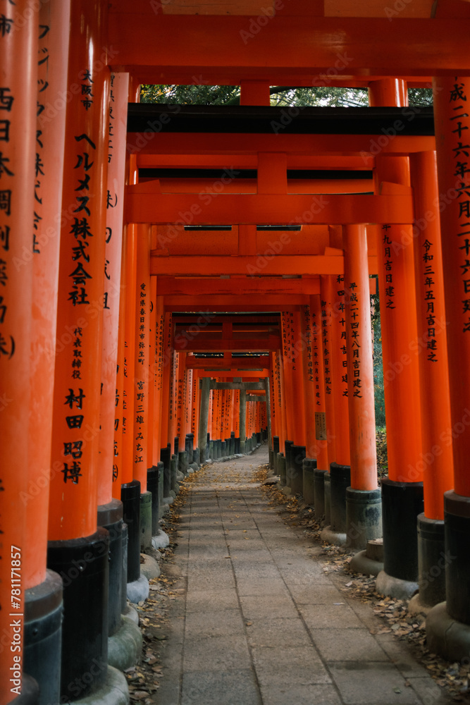Pathway through traditional Japanese Torii gates Pathway through traditional Japanese Torii gates