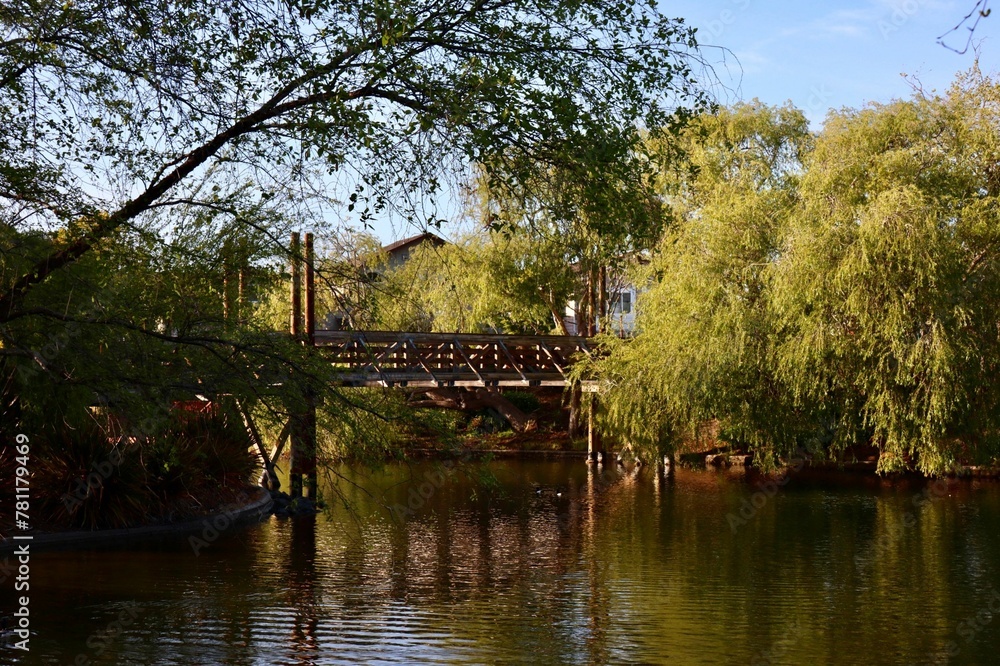 Fototapeta premium Bridge over a lake surrounded by trees