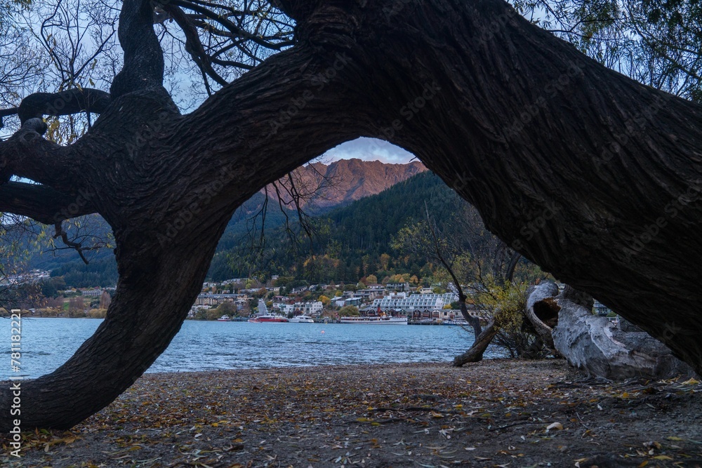 Fototapeta premium Closeup of an arch on a long thick tree near a lake