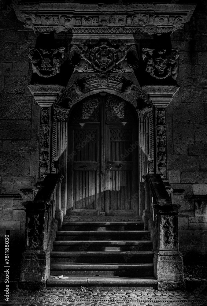 Door of stony building in black and white