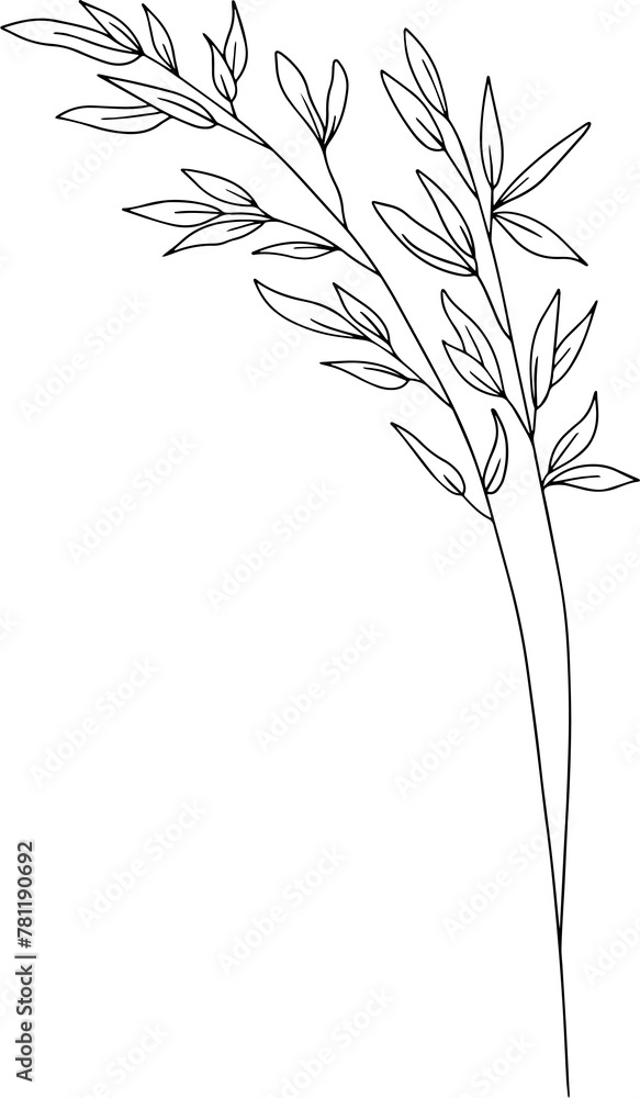 Obraz premium Hand drawn line art grass
