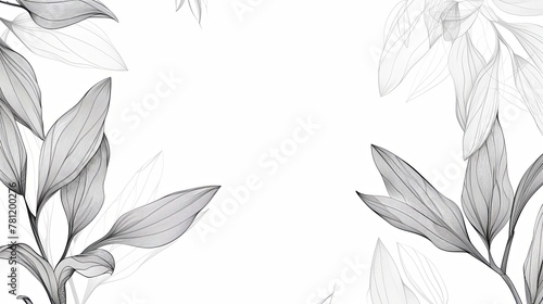 Line art background of flowers on a white background.