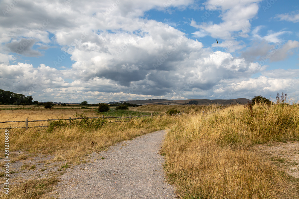 Looking along a pathway in Sussex, with a blue sky and fluffy clouds overhead