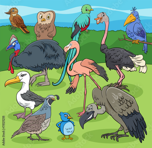 birds animal characters group cartoon illustration